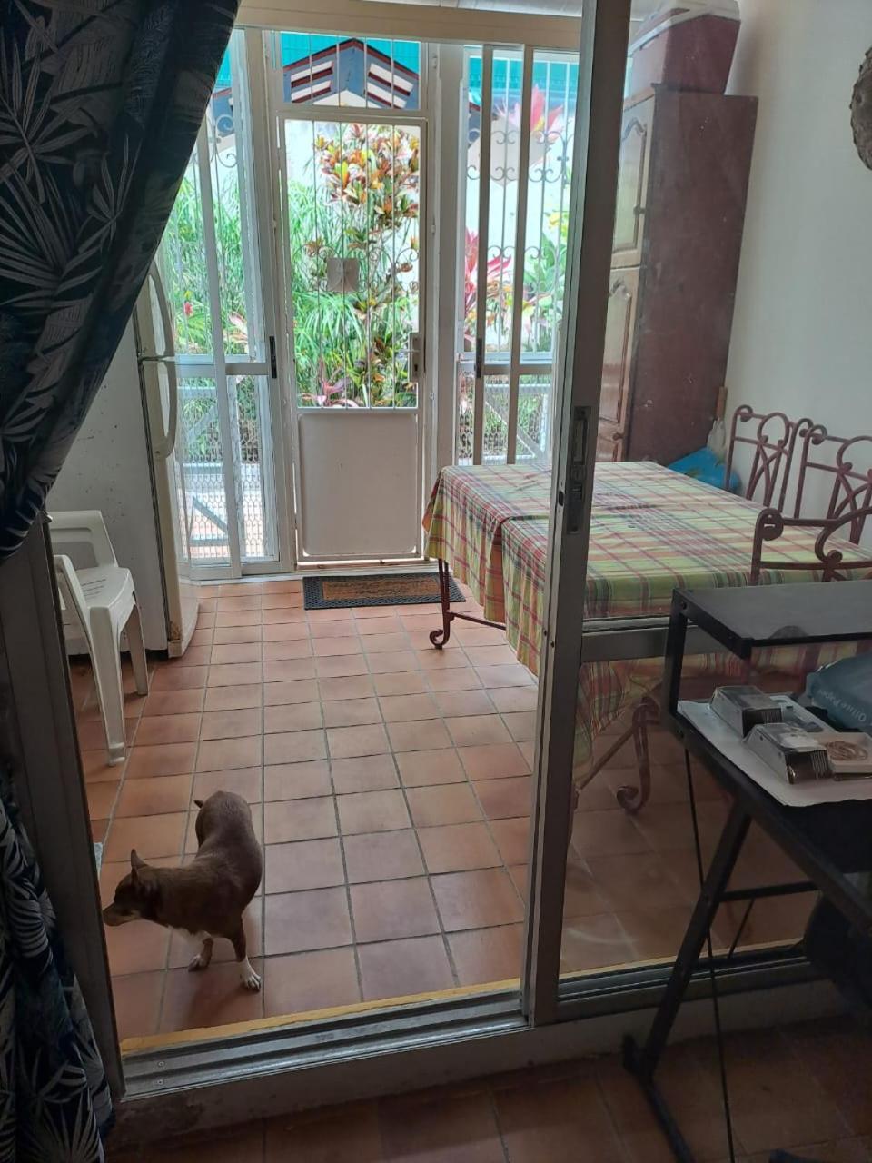 Appartement T2 Meuble Tout Confort เลอโกซิเยร์ ภายนอก รูปภาพ